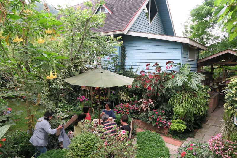 遊客在山芙蓉咖啡花園一隅聊天。   圖：鄒麗泳／攝