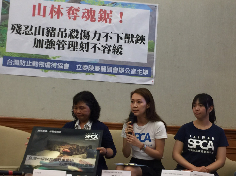 綠委陳曼麗15日與台灣防止虐待動物協會召開記者會，呼籲政府正視山豬吊陷阱獵捕動物殘忍方式，並儘速修法以保護動物生命安全。   圖：林人芳／攝