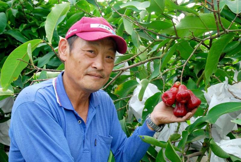 農業達人楊基君與他的紅寶石蓮霧合影。   圖：高雄農業改良場／提供