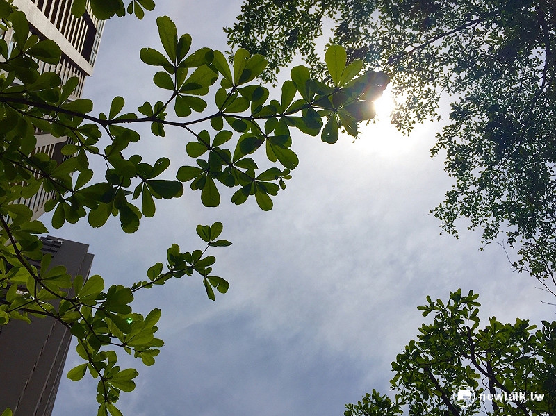 前幾天影響台灣的鋒面系統已經逐漸轉往巴士海峽，今日全台天氣都隨之轉晴。   圖：任安華攝