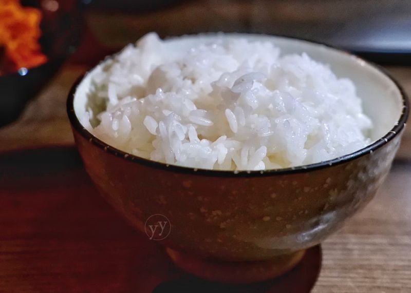 連假過後要預防熱量囤積，飲食要注重，營養師高敏敏建議現在開始飯量攝取要減少至少2成。（圖／記者葉盛耀攝）   圖／記者葉盛耀攝