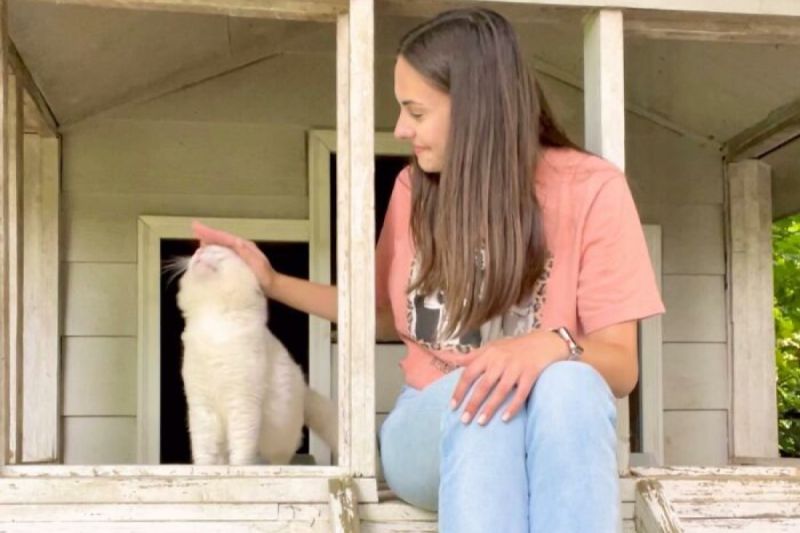 美國女子茱莉亞在新家花園中發現一隻漂亮白貓。   圖／coopkitties.com