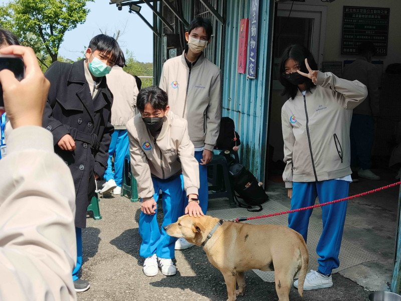 學童們開心地撫摸毛寶貝並互動玩耍。   圖﹕新北市動保處提供