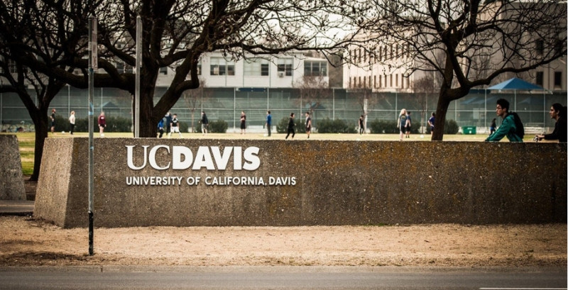 美國加州大學大衛斯分校UCDAVIS附近 5 天內連續發生 3 起持刀傷人事件，導致 2 人死亡，1 人重傷   圖 : 翻攝自學校官網