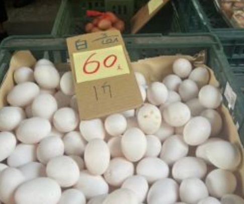 ▲台灣面臨史上最大的「缺蛋危機」之後，現在不僅蛋供應量越來越充足，蛋價也是回穩了不少。（圖/爆廢公社二館）   