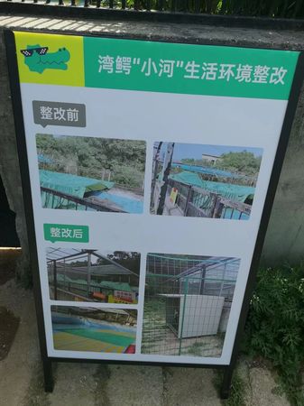 園方製作看板，介紹小河飼養環境的改變。   圖：海基會提供