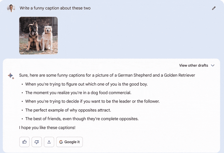 Google AI神器Bard，而當用戶使用智慧鏡頭時，Bard 能夠識別出狗狗的品種，並且描述其相關特徵。   圖：翻攝自Google 部落格