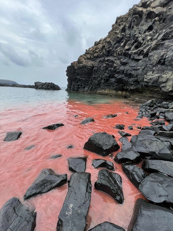 臥牛海域成超浪漫的粉紅海。   圖：翻攝自七美報報臉書