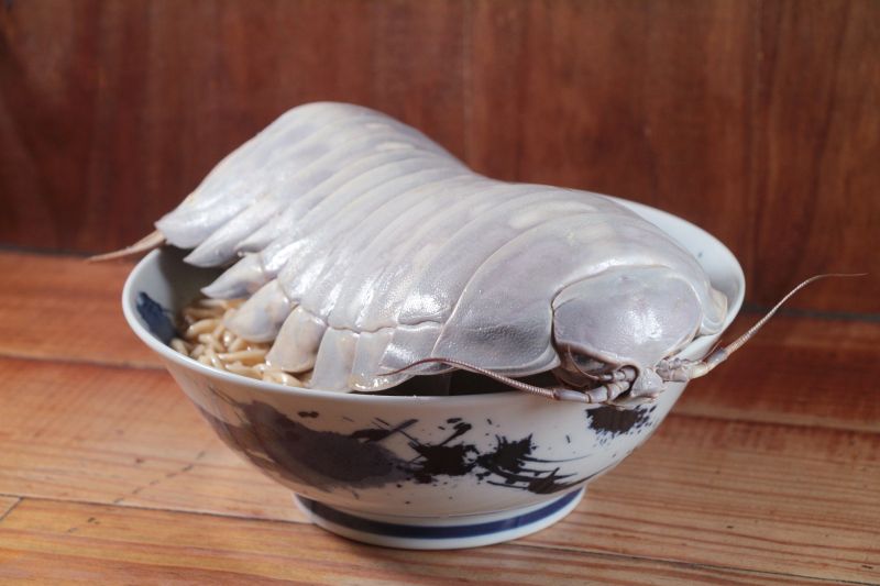 近日台北知名拉麵店「拉麵王子」推出大王具足蟲拉麵，引起話題討論。   圖/拉麵王子臉書