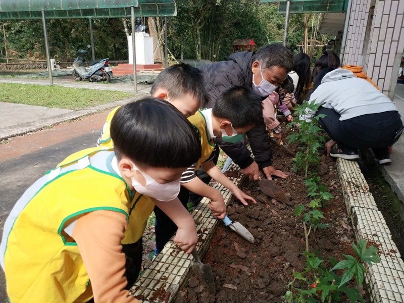 平溪國小幼兒園開心地參與分班的燈籠花栽種。   圖：新北市教育局提供