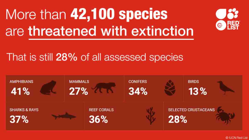 世界自然保護聯盟公開瀕臨滅絕生物。   圖：翻攝自ICUN推特