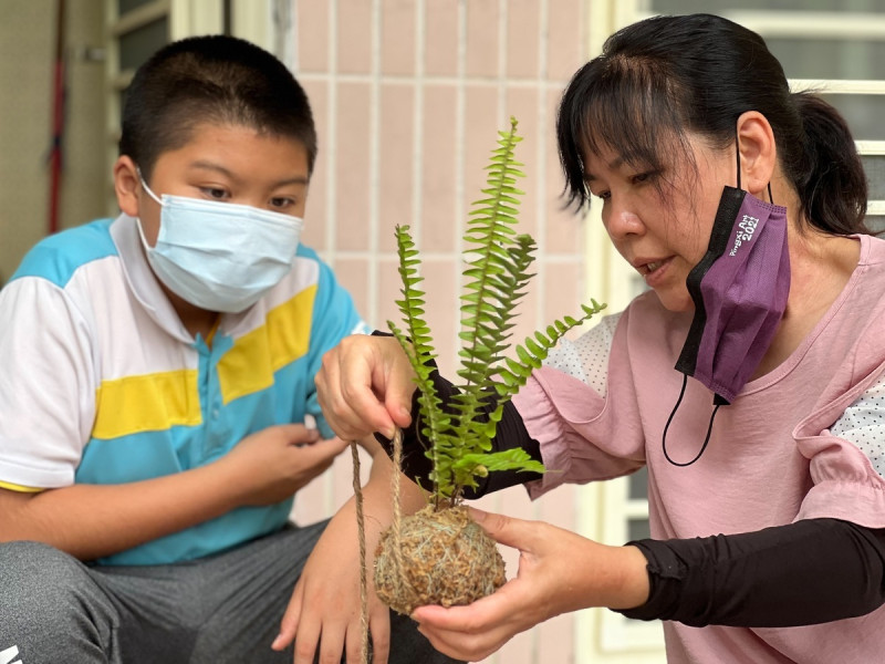 「水苔球」植栽人見人愛，平溪國小激發學生美感素養，擴大思考苔蘚植物在生活美學的應用。   圖：新北市教育局提供