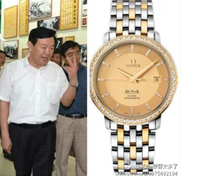 陝西省人大常委會原副主任李金柱和他所擁有的歐米茄-碟飛系名錶。   圖 : 翻攝自微博