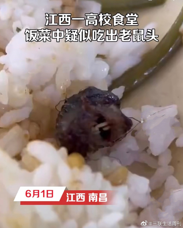 中國江西一所學校食堂內爆出食品安全疑慮，學生在飯菜中吃到老鼠頭，校方澄清該異物為鴨脖，引發爭議。   圖：翻攝自新浪微博