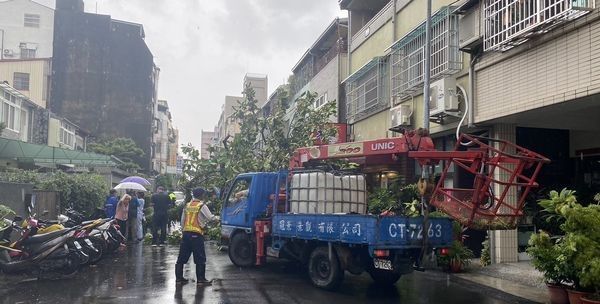 台中市今（11）天中午驚傳大樹倒塌。   圖：翻攝畫面