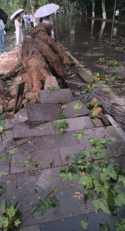 南京工業大學受狂風暴雨和冰雹襲擊，地板變形。   圖：翻攝自李老師不是你老師