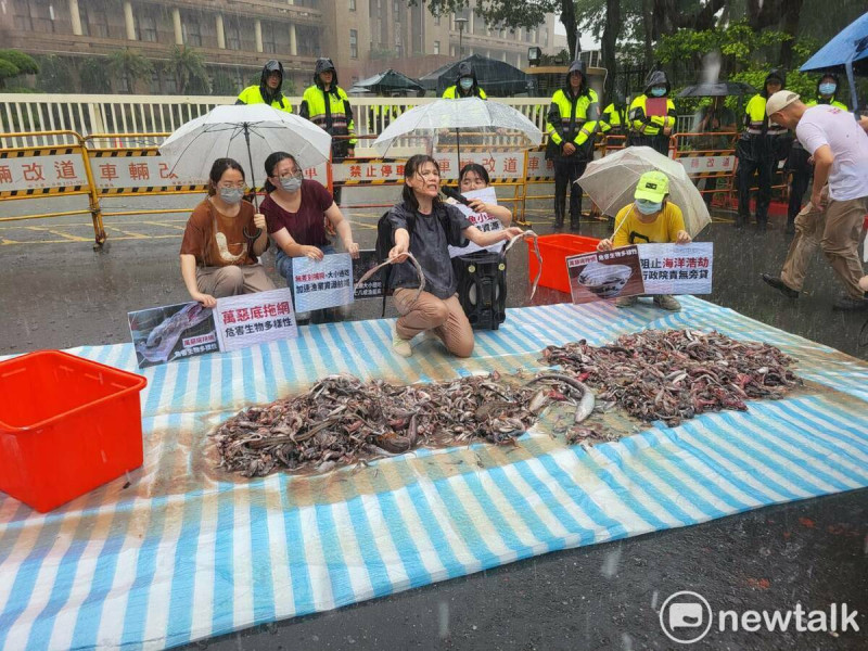 台灣動物社會研究會頂著大雨，在行政院門口前倒魚陳情。   圖：陳佩君／攝