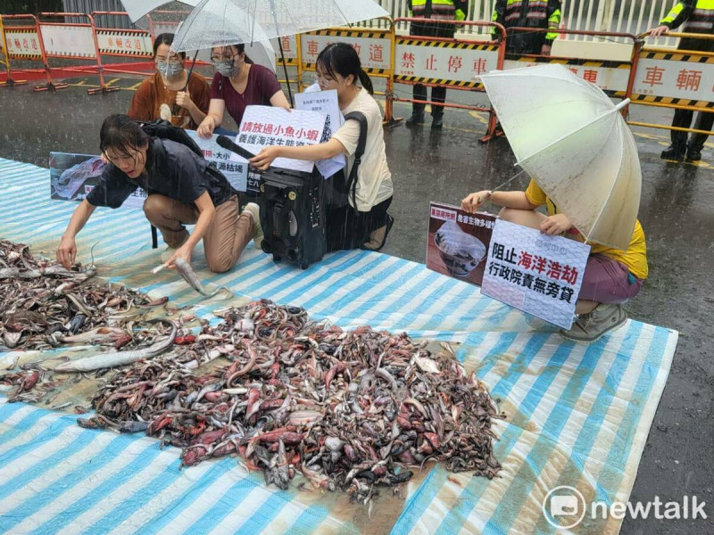 台灣動物社會研究會頂著大雨，在行政院門口前倒魚陳情。   圖：陳佩君／攝