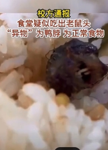 中國官媒《央視》在事發之初也曾宣稱，學生發現的菜餚異物是鴨脖，而非鼠頭。   圖 : 翻攝自央視畫面