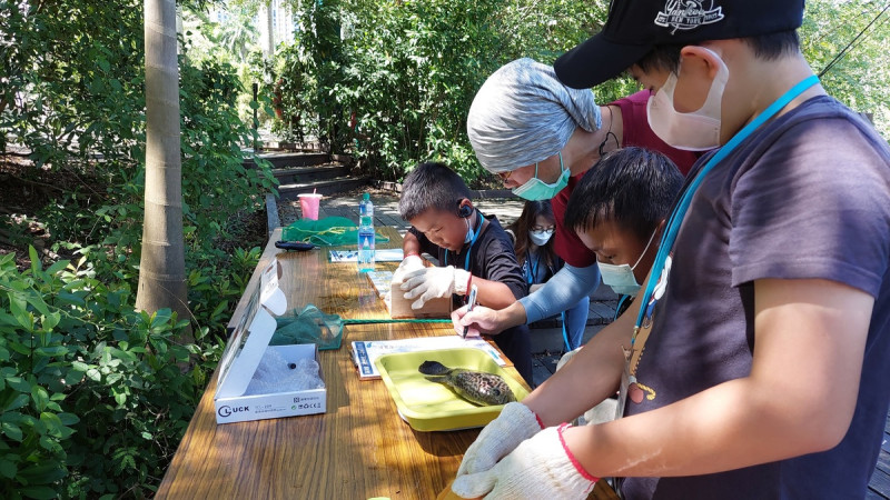 認識入侵魚類推廣活動。   圖：高雄市立美術館/提供