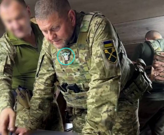  烏克蘭武裝部隊總司令扎盧日內傳出與總統澤連斯基意見不合。 圖：翻攝自Anton Gerashchenko推特 