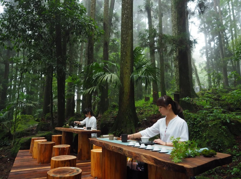 阿里山四季茶旅特別以不同形式的茶會方式分別舉行春夏秋冬四場茶會。   圖：交通部觀光局／提供