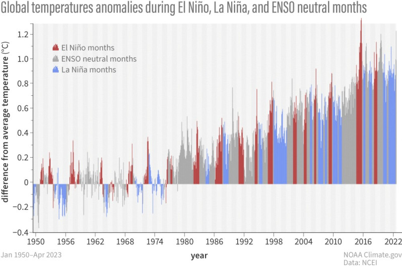 彭啟明表示，依據美國NOAA的氣候專家評估，預計今年冬季出現強聖嬰現象的可能性為 56%。   圖：翻攝自氣象達人彭啟明FB