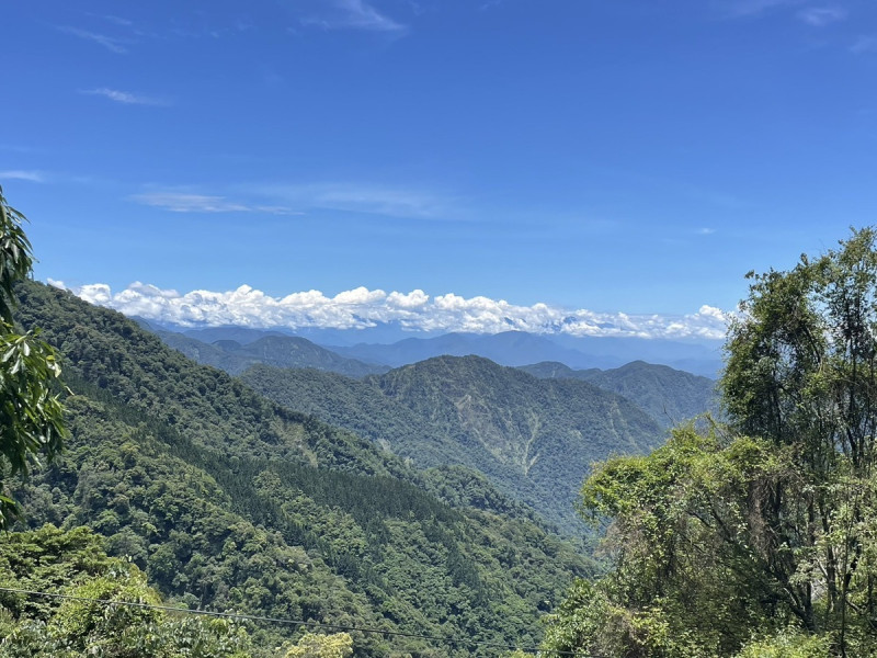 大雪山國家森林遊樂區山景。   圖：東勢林區管理處／提供