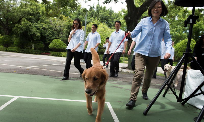 總統蔡英文在官邸牽著愛犬。   圖：總統府提供