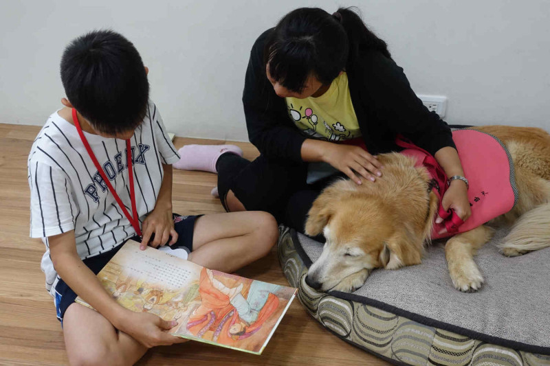 透過唸故事給狗狗聽的過程能夠增加學童口語表達的信心。   圖：教育部學生事務及特殊教育司提供