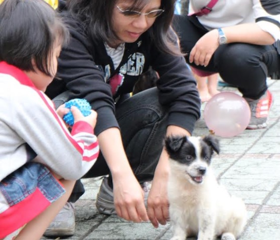 舉辦方也規劃了遊樂場等多元活動內容，推廣認養犬隻及動物保護觀念，最後也讓7頭可愛的萌犬覓得新家。   圖：台中市政府提供