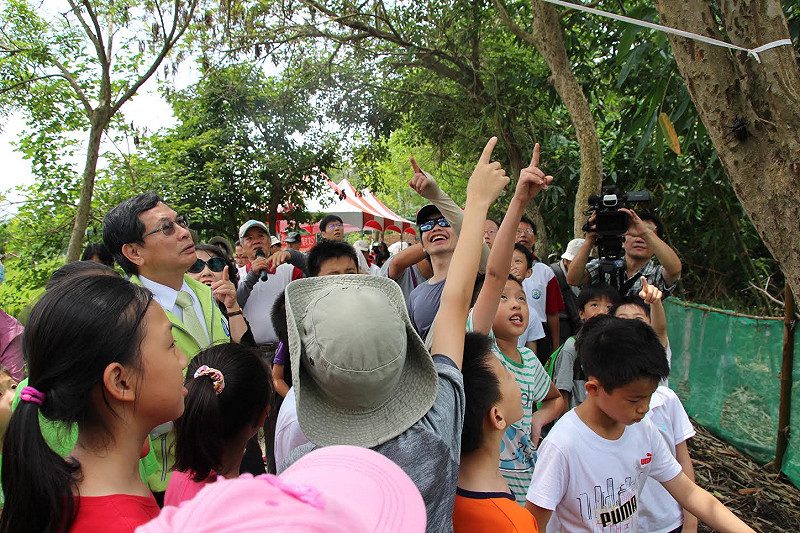 嘉義市長涂醒哲帶領小朋友尋找樹上的獨角仙。   圖：嘉義市政府提供