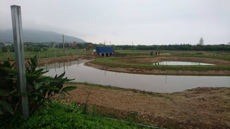 台灣生態工法發展基金會在清水濕地破壞農地地景的人為景觀池。   圖 : 野鳥協會/提供