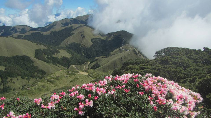 群山環抱，搭配杜鵑花點綴，風景秀麗。   圖：翻攝自太魯閣國家公園臉書