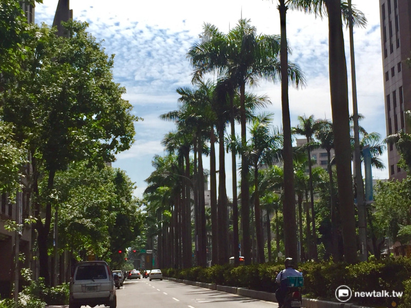 台北市大安區的艷陽天。   圖：陳奕/攝