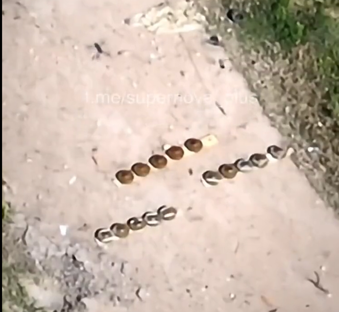 烏軍使用民用無人機清除地雷。   圖：翻攝自推特帳號@Osinttechnical
