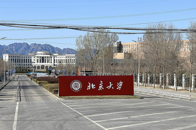 北京大學校園一景。 圖：翻攝自維基百科