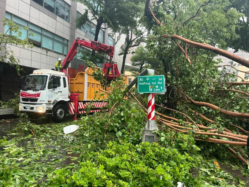 杜蘇芮颱風橫掃高雄，部分地區路樹倒塌滿目瘡痍。   圖：高雄市工務局公園處提供