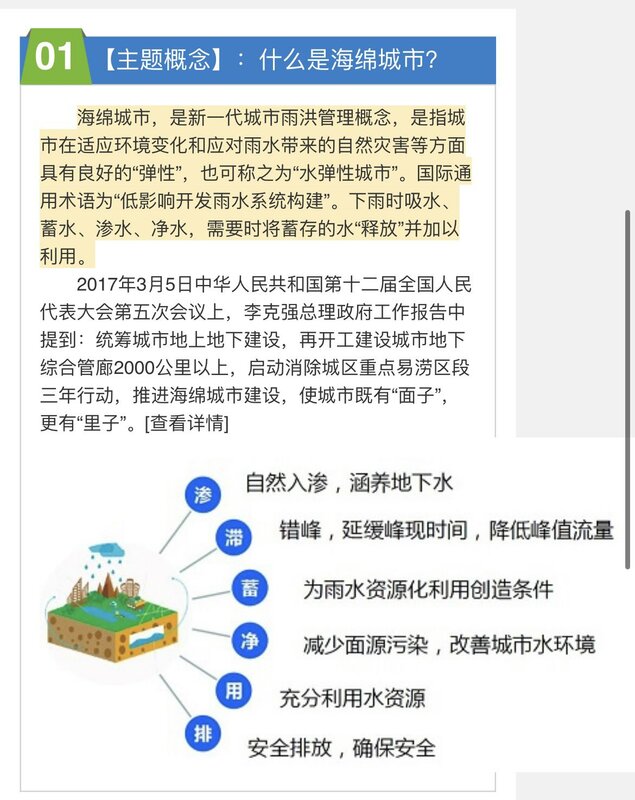 中國自 2012 年開始花費上百億人民幣，於北京推動海綿城市計畫，如今卻是如此成果。   圖：翻攝自@22HomoPoliticus