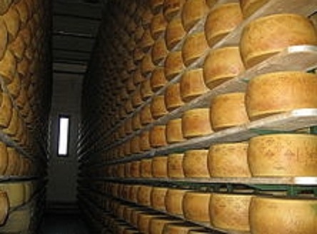義大利北部倫巴第大區發生一起慘劇，74 歲的乳酪廠老闆恰帕裡尼不幸被自家生產的 1.5 萬個乳酪壓死。   圖 : 翻攝自維基百科
