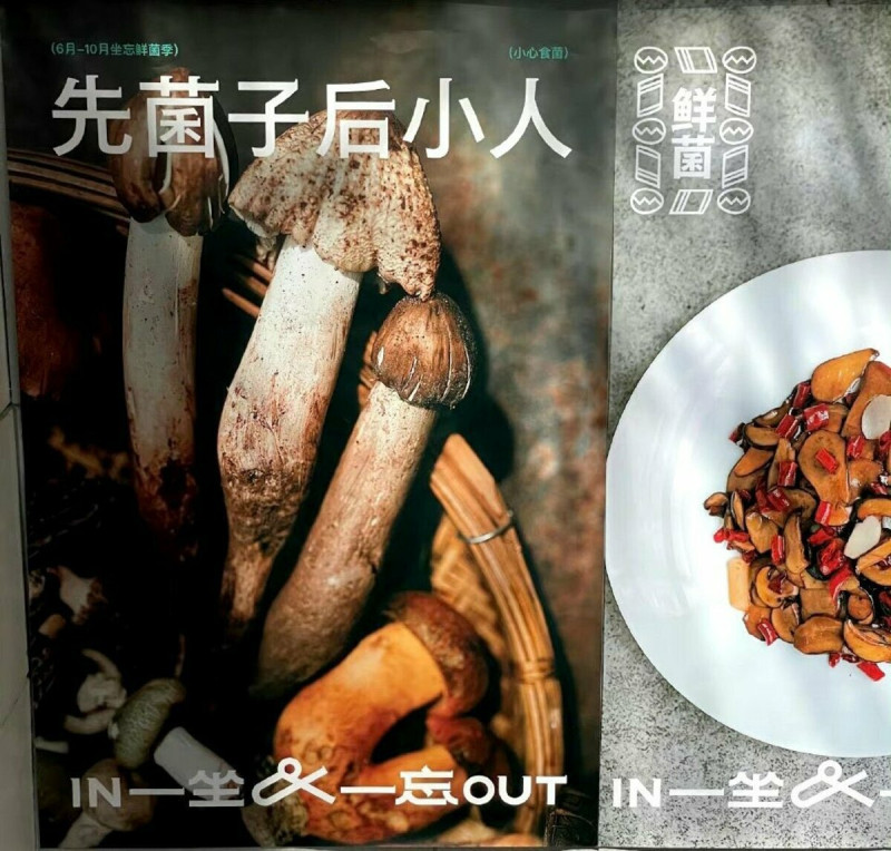 葉倫於 7 月 6 日晚間前往北京「一坐一忘」雲南料理餐廳，享用美食。圖為「見手青」。   圖：翻攝自推特@AmazingPuer