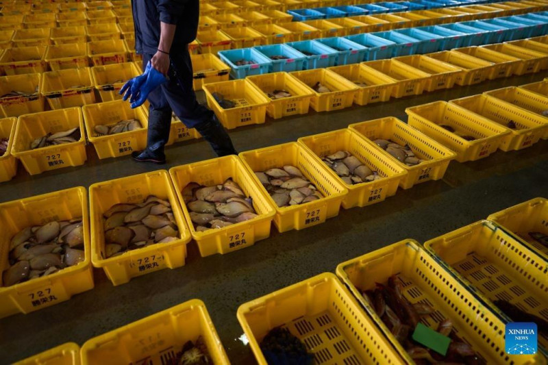 針對日本決議排放核廢水一事，中國祭出禁止進口日本漁業產品作為回應。   圖：翻攝自Ｘ／@PDChinese
