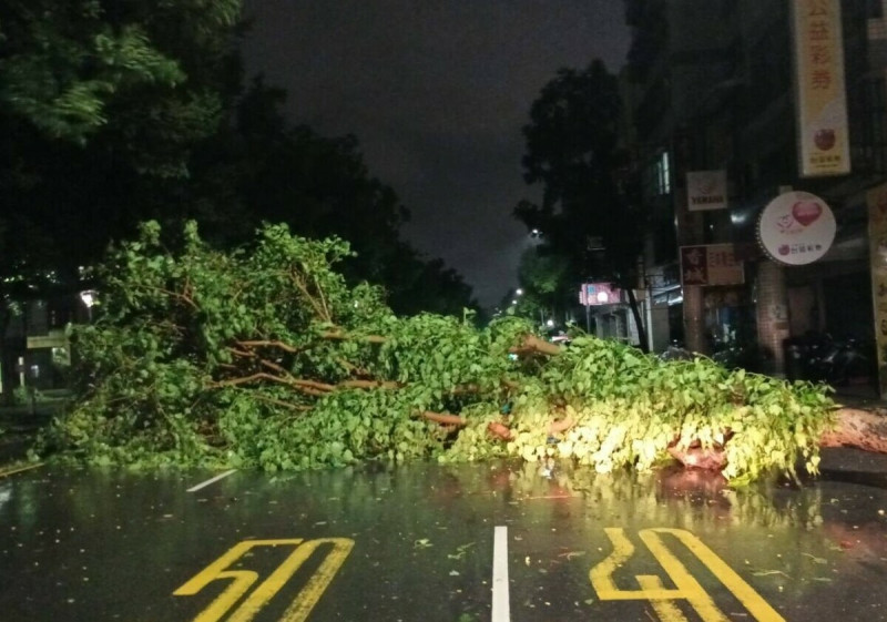 市區路樹倒塌，工務局連夜加派工作人員清理。   圖：高雄市工務局提供