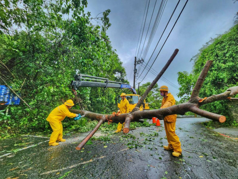 台電人員移除倒塌的路樹。   圖：台電高雄區處提供