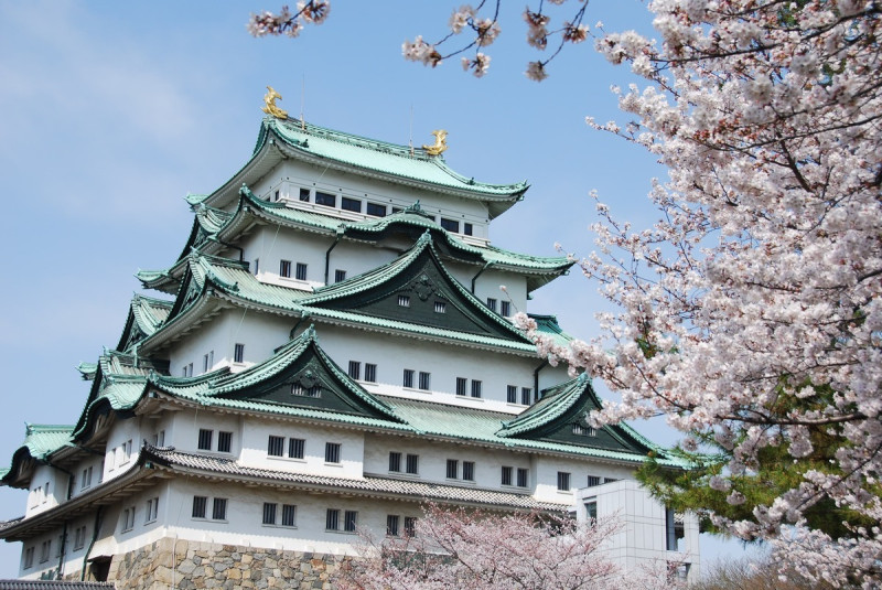 歷史人文感興趣，可參觀名古屋城，了解日本武士的生活。   圖：星宇航空／提供