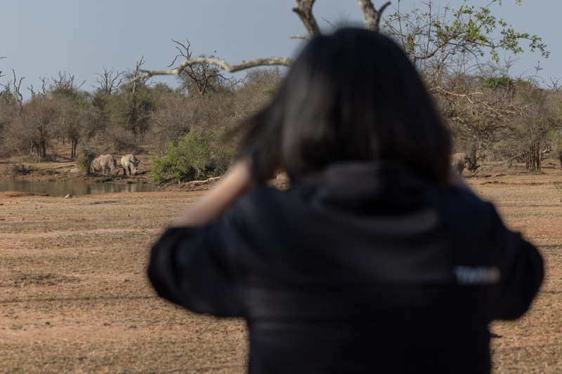 總統蔡英文7日Hlane Royal National Park，看到犀牛、大象、獅子等野生動物，體驗非洲豐富的生態與特色風貌。   圖：總統府提供