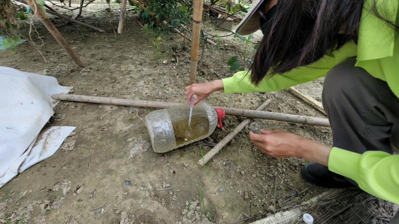 大寮區後庄里菜園發現病媒蚊孑孓遭開單告發。   圖：高雄市衛生局提供