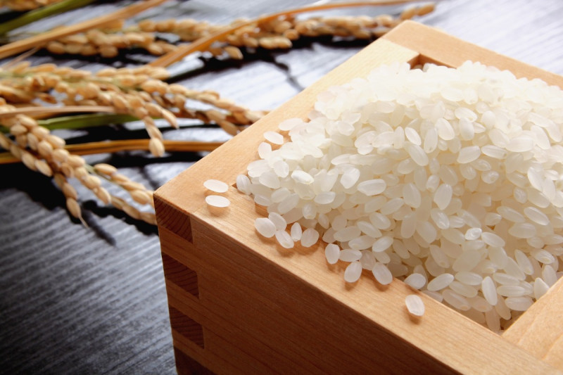 鰻魚飯的主要配角，使用產自富山縣魚津市的優質越光米。   業者/提供