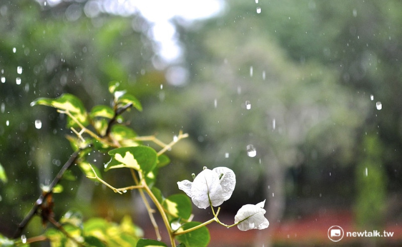 今日（1）在西南氣流以及熱對流影響下，中南部地區將有陣雨或雷雨，有局部大雨或豪雨發生的機率，山區雨勢會更明顯。   圖源：pixabay