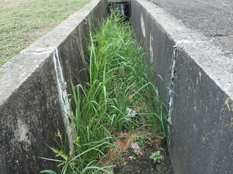高雄農改場呼籲農友清除田間水溝的殘枝落葉，做好排水工作。   圖：高雄農改場提供